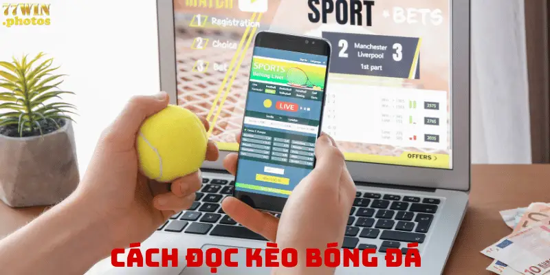 Cách đọc kèo bóng đá dễ hiểu cho tân thủ tại 77win